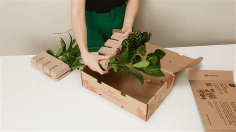 how to ship plants safely.